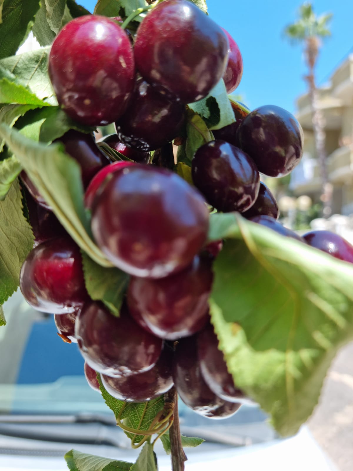 WhatsApp Image 2022-06-26 at 3.29.48 PM (2).jpeg